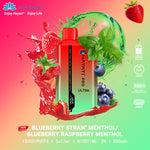 Load image into Gallery viewer, Blueberry Straw Menthol / Blueberry Raspberry Menthol Hayati Pro Ultra 15K Puff Disposable Vape
